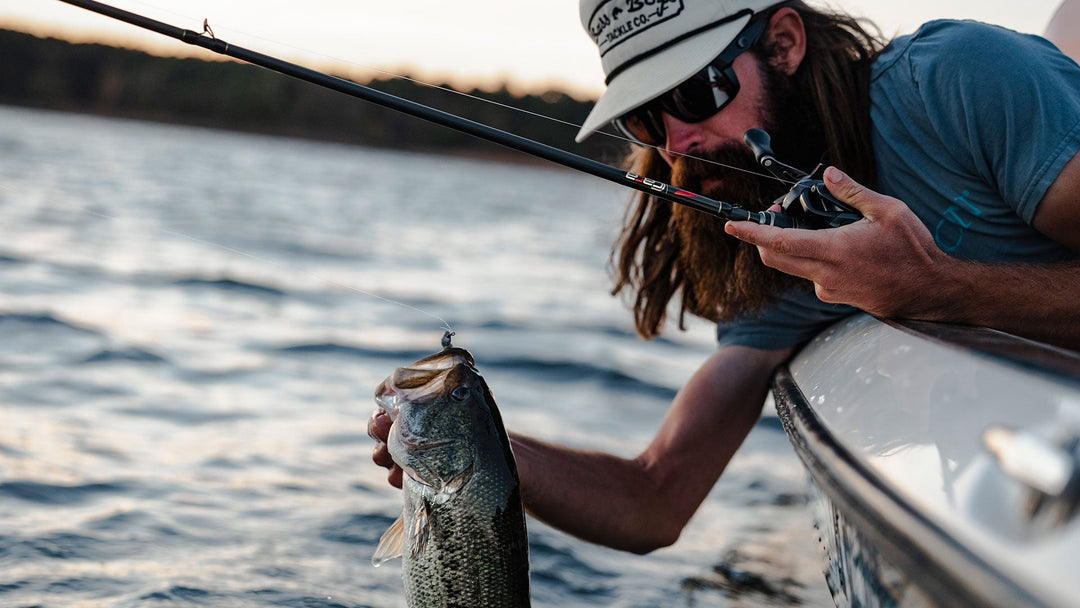 Falcon BFS Rods - 2025